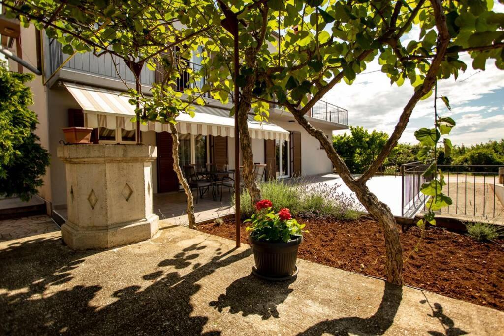 Herak - Smoljan Apartamento